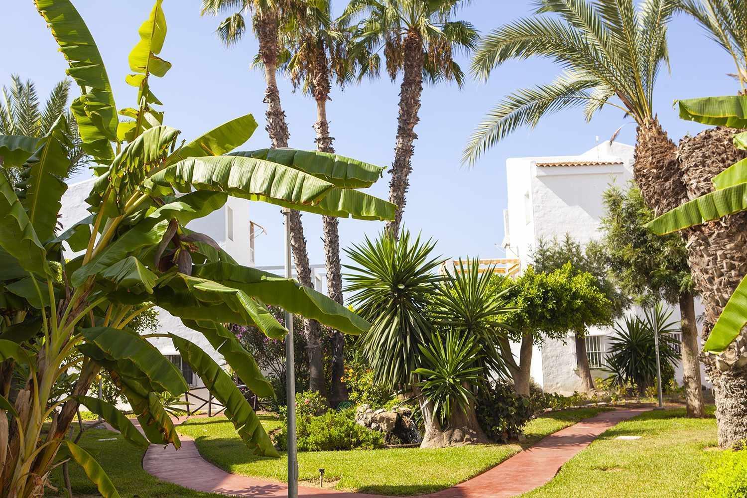 A 100M De Playa Piscina Y Todos Los Servicios Appartement Torrox Buitenkant foto